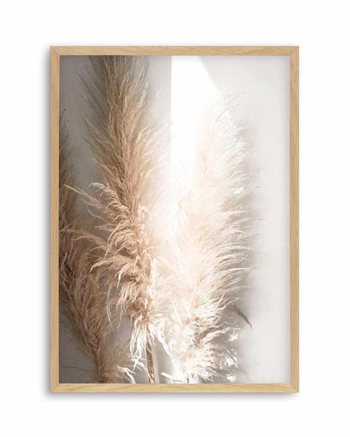 Pampas Ombres I Art Print