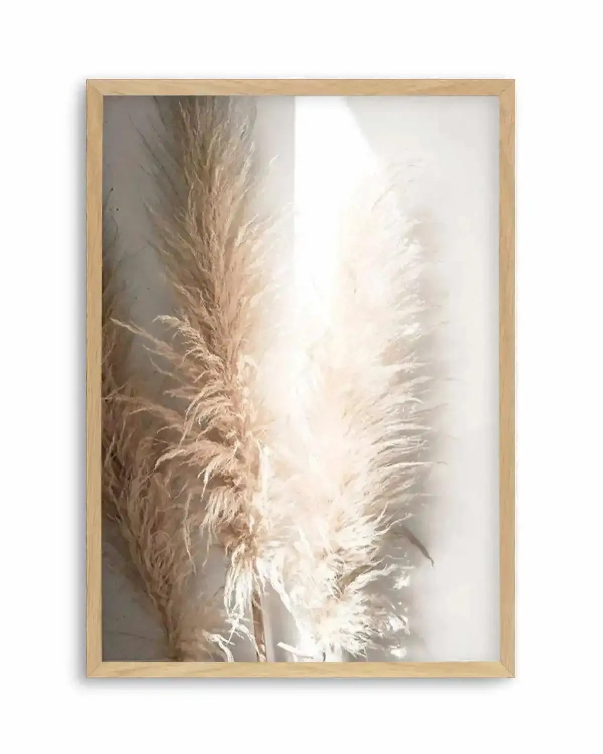 Pampas Ombres I Art Print from Olive et Oriel where you can shop wallpaper and artworks online