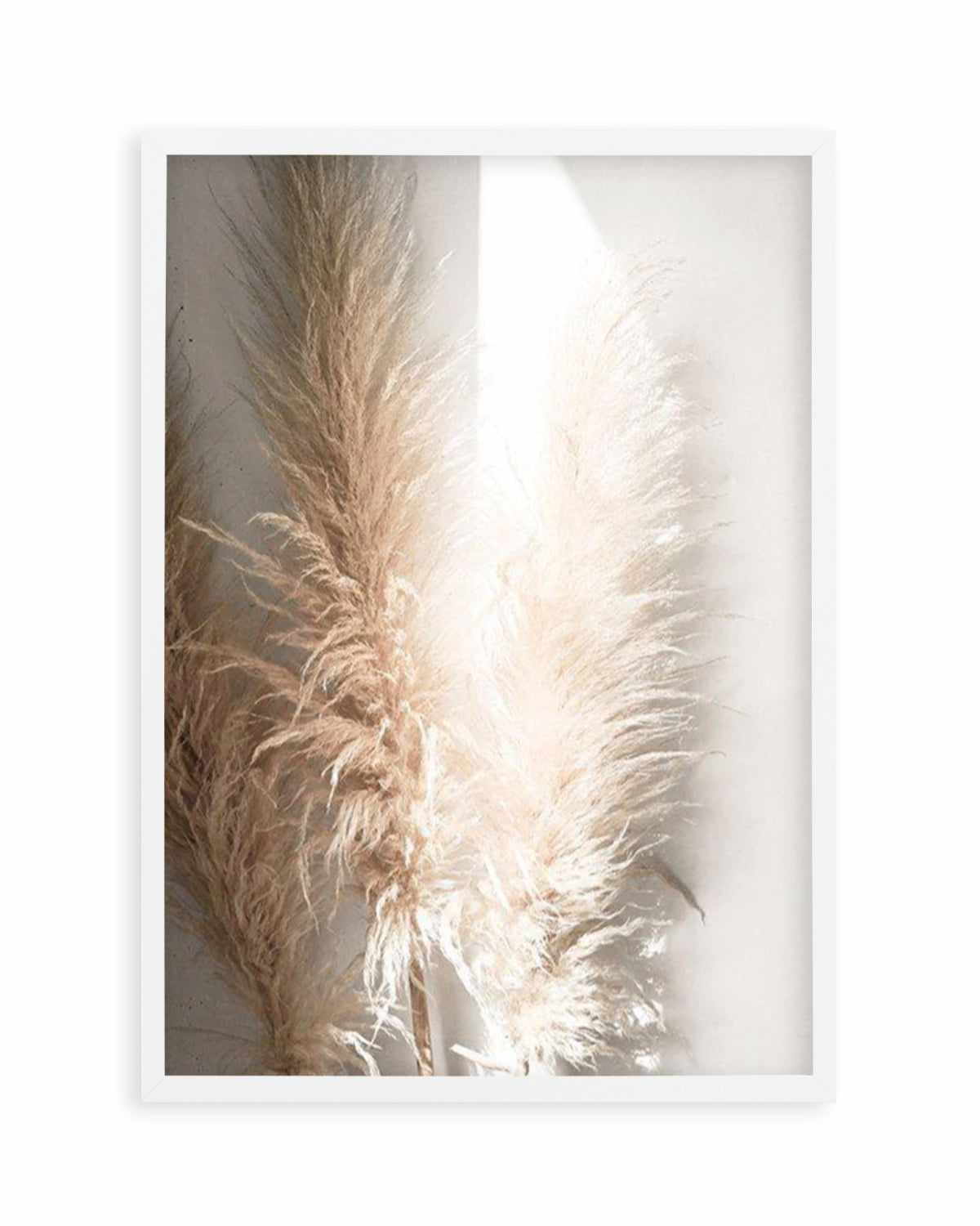 Pampas Ombres I Art Print