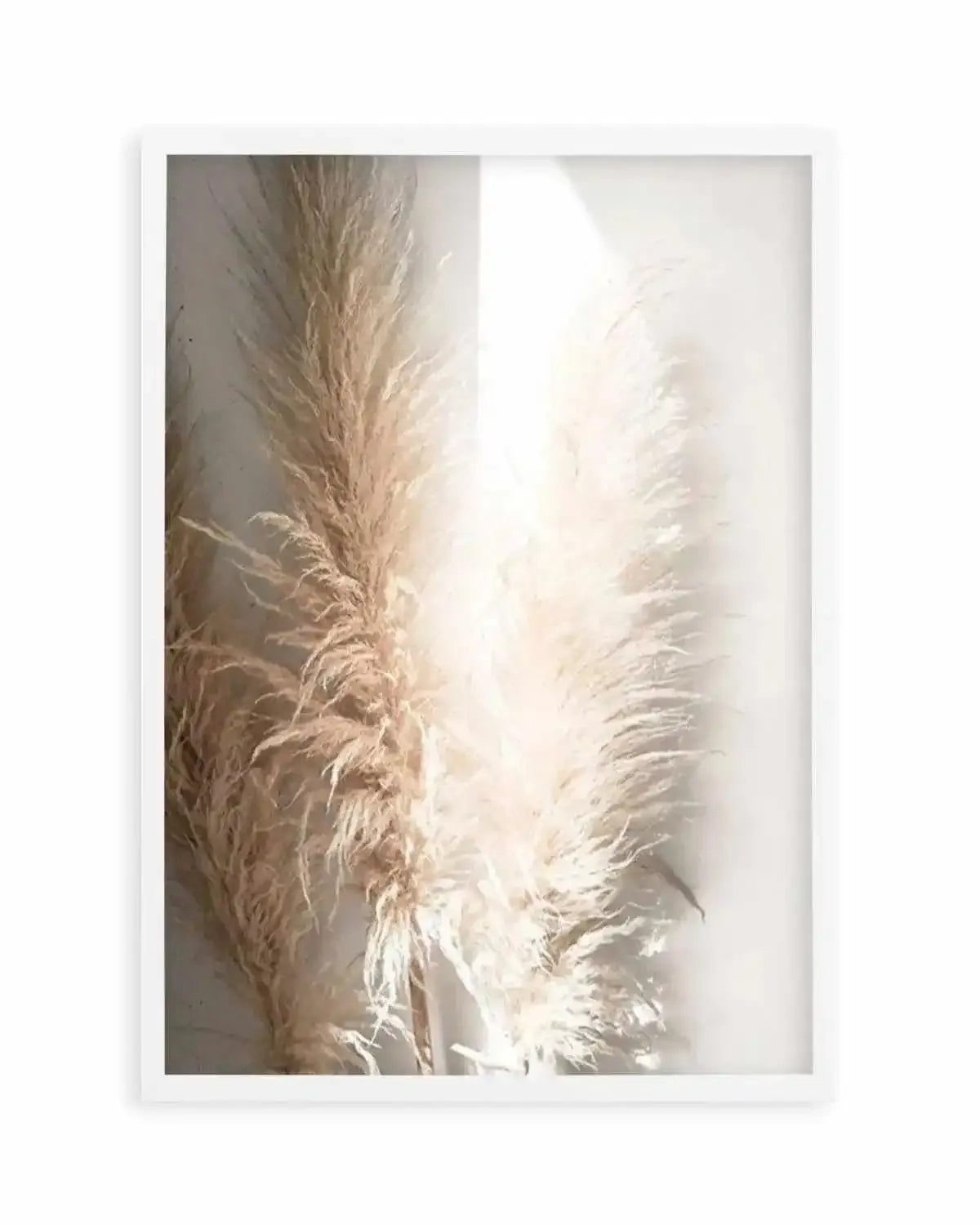 Pampas Ombres I Art Print from Olive et Oriel where you can shop wallpaper and artworks online