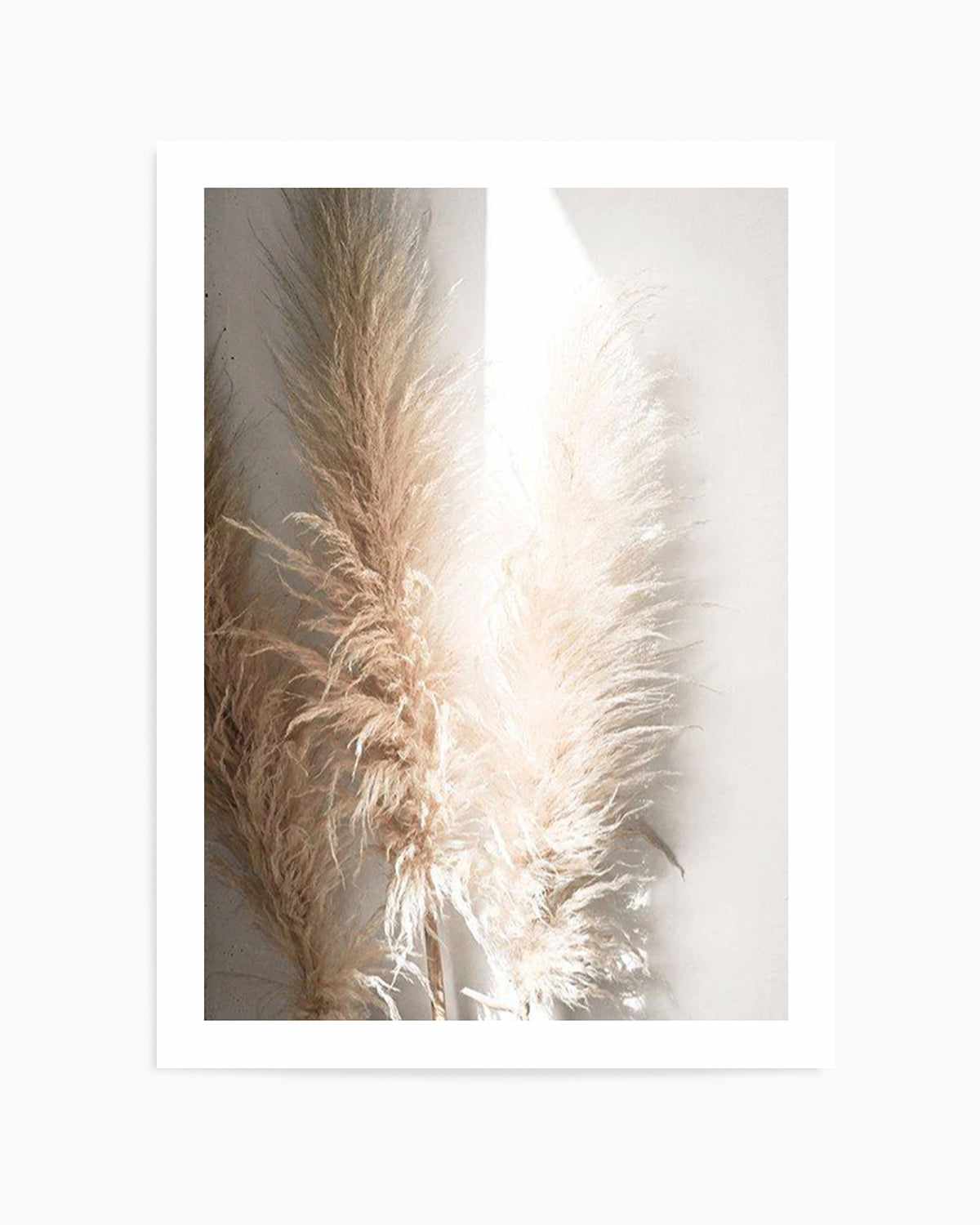 Pampas Ombres I Art Print