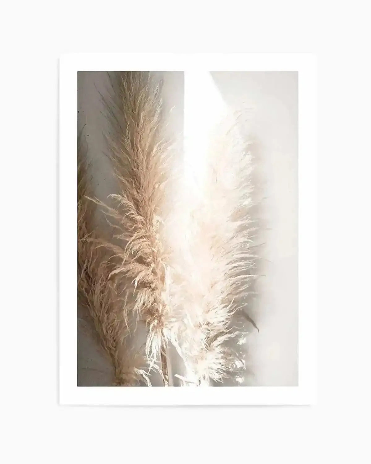 Pampas Ombres I Art Print from Olive et Oriel where you can shop wallpaper and artworks online