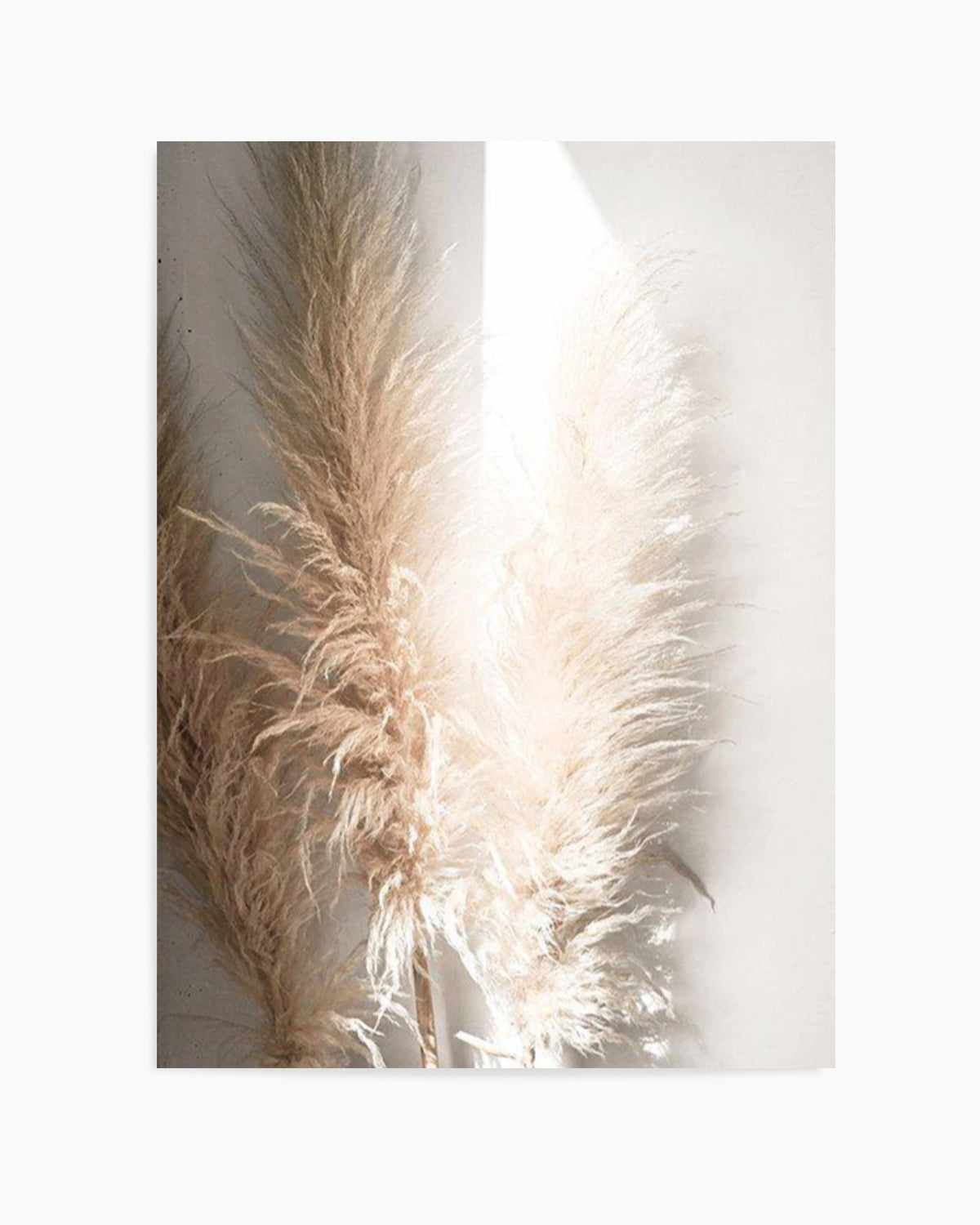 Pampas Ombres I Art Print