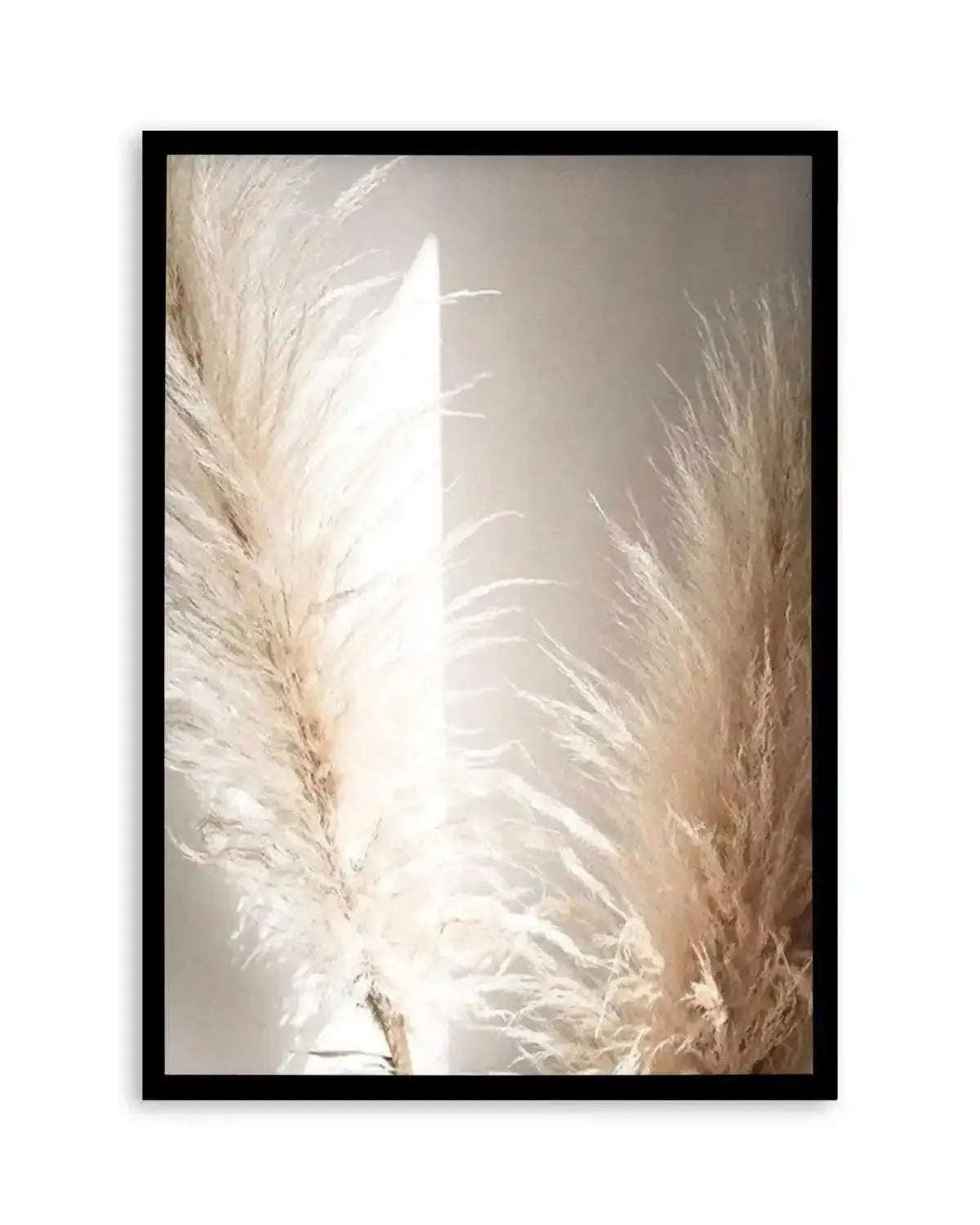 Pampas Ombres II Art Print from Olive et Oriel where you can shop wallpaper and artworks online