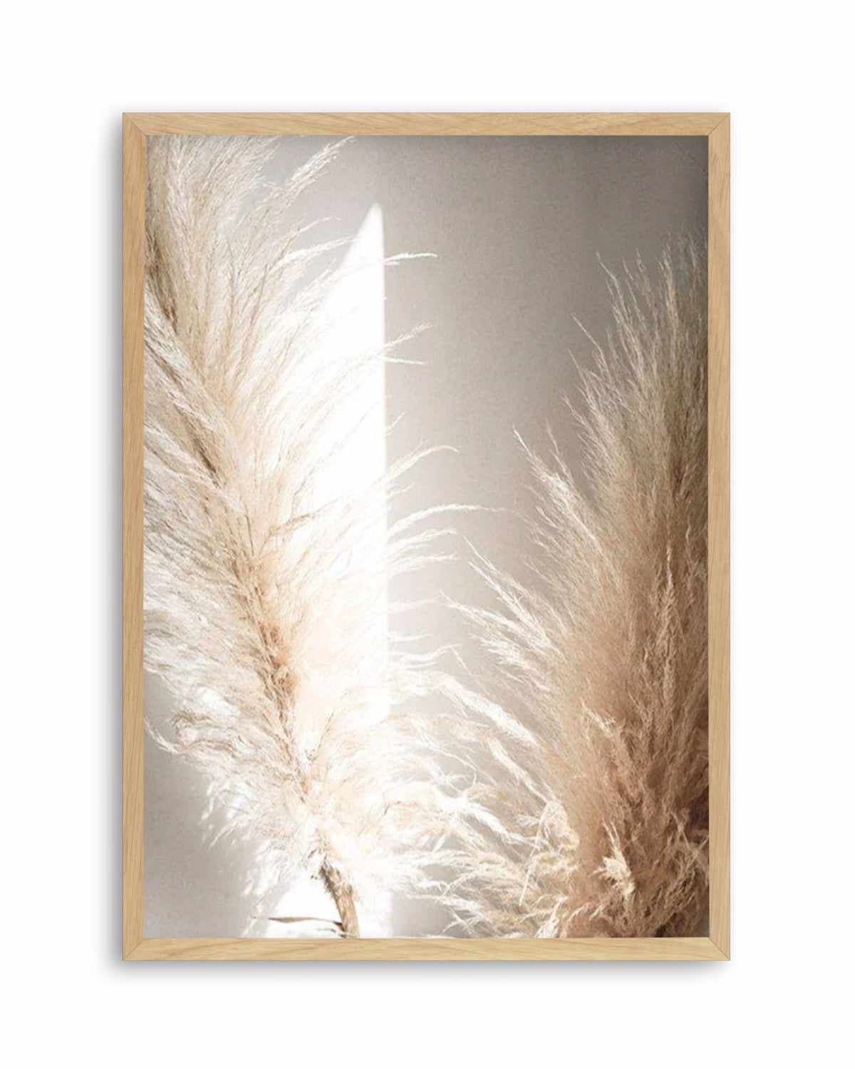 Pampas Ombres II Art Print