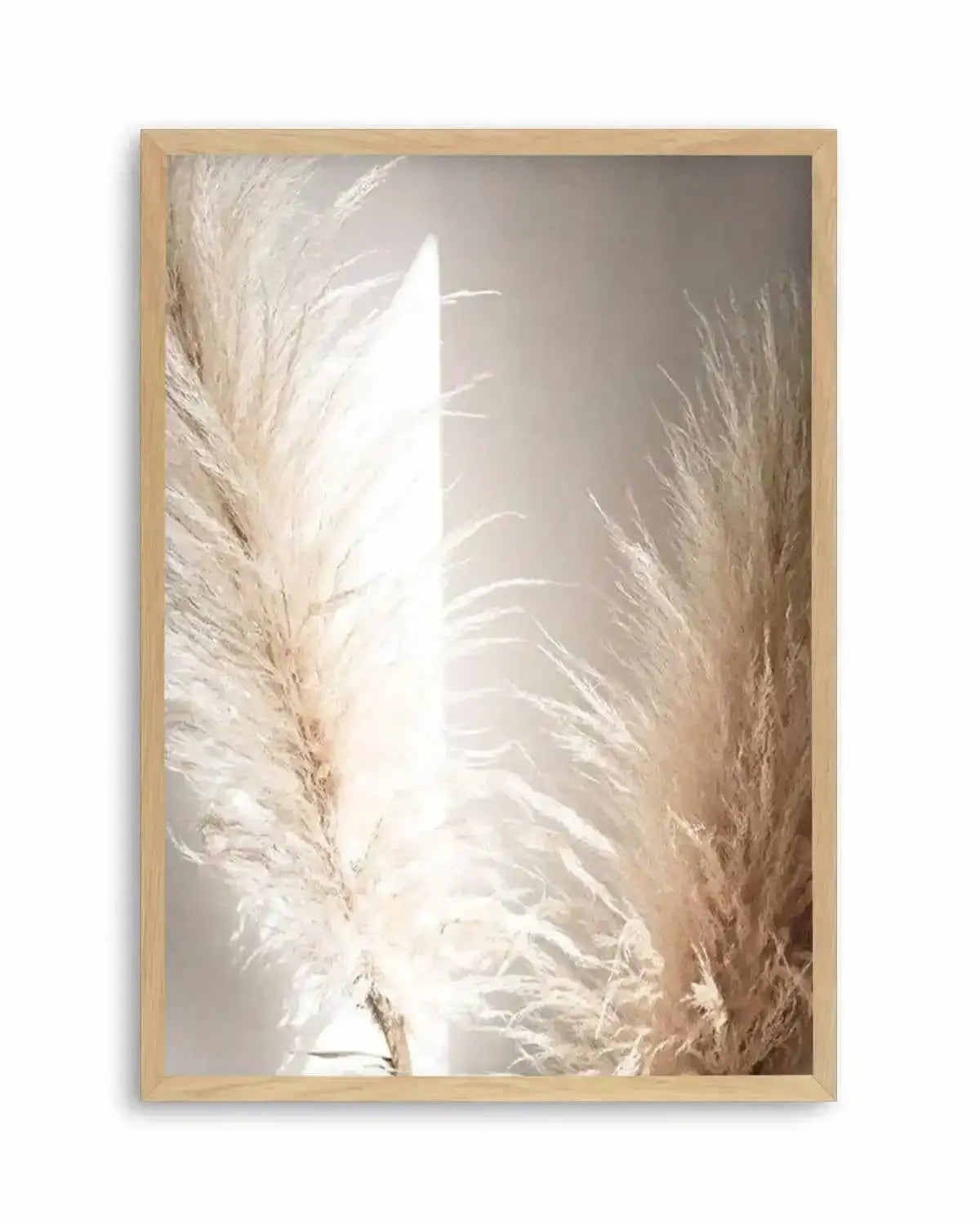 Pampas Ombres II Art Print from Olive et Oriel where you can shop wallpaper and artworks online