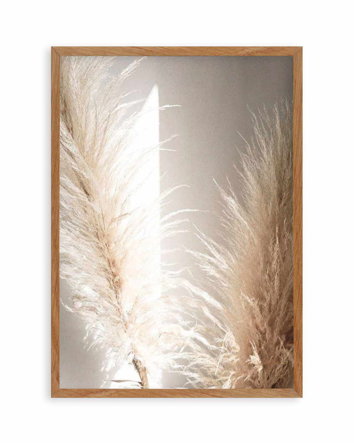 Pampas Ombres II Art Print