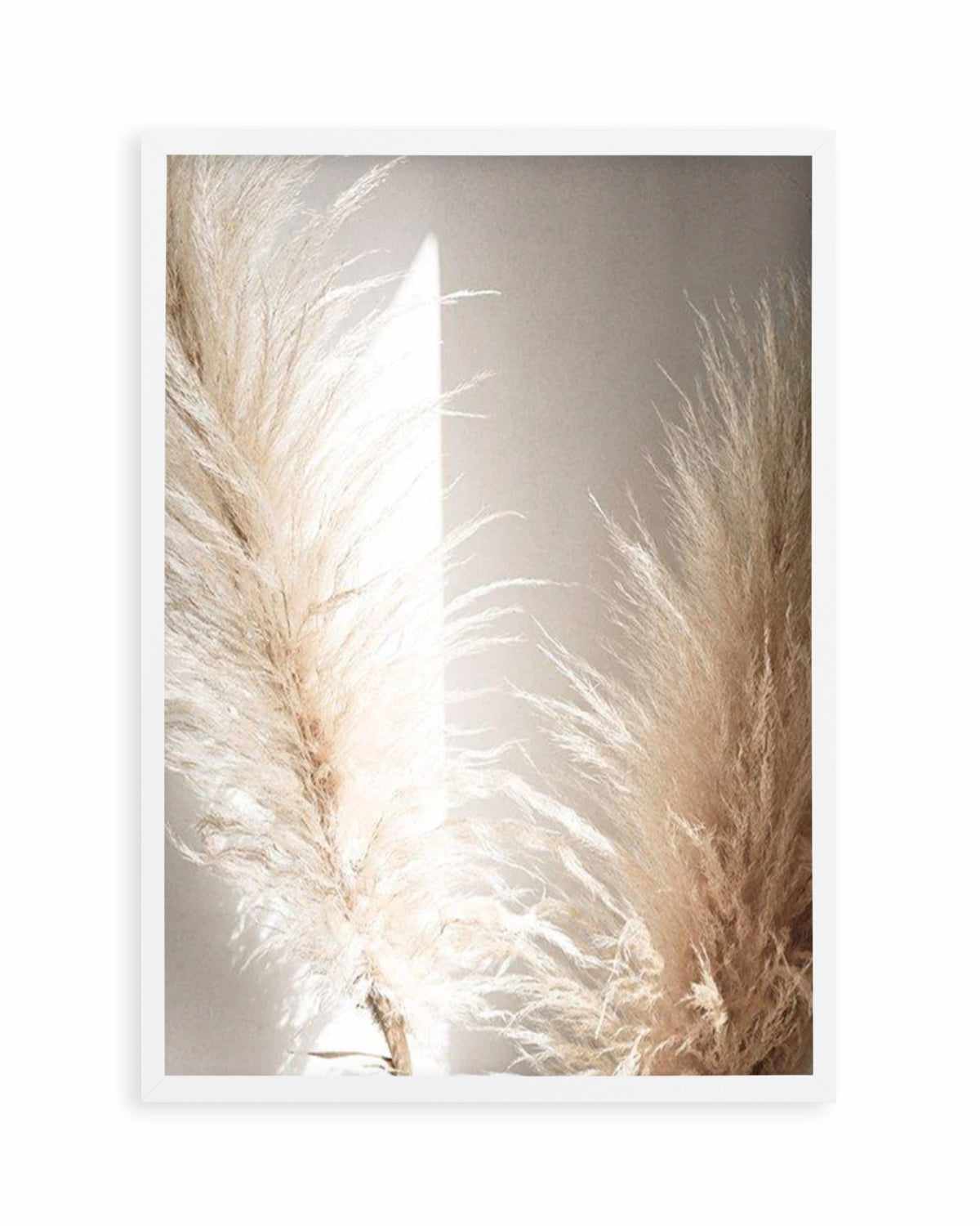 Pampas Ombres II Art Print