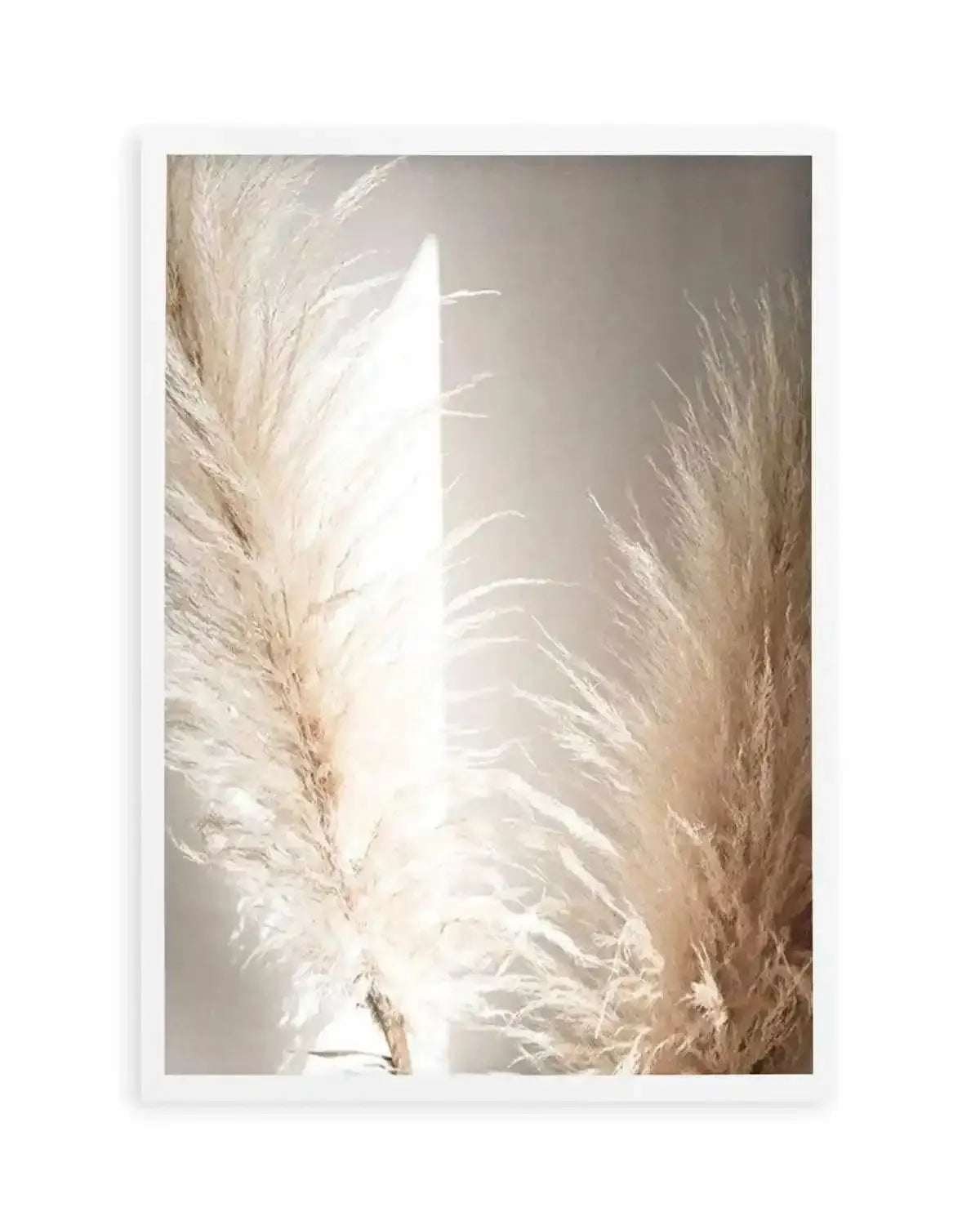 Pampas Ombres II Art Print from Olive et Oriel where you can shop wallpaper and artworks online