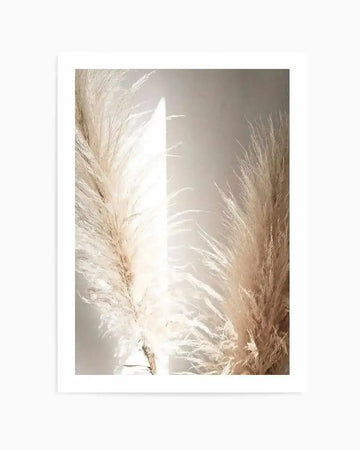 Pampas Ombres II Art Print displayed in a white frame with white border. The artwork features two tall pampas grass plumes with soft, feathery textures in cream, beige, and warm taupe tones. Bright natural light streams through the center, creating a luminous glow that highlights the delicate, wispy strands of the grass. The composition has a serene, minimalist aesthetic with a neutral, warm color palette.