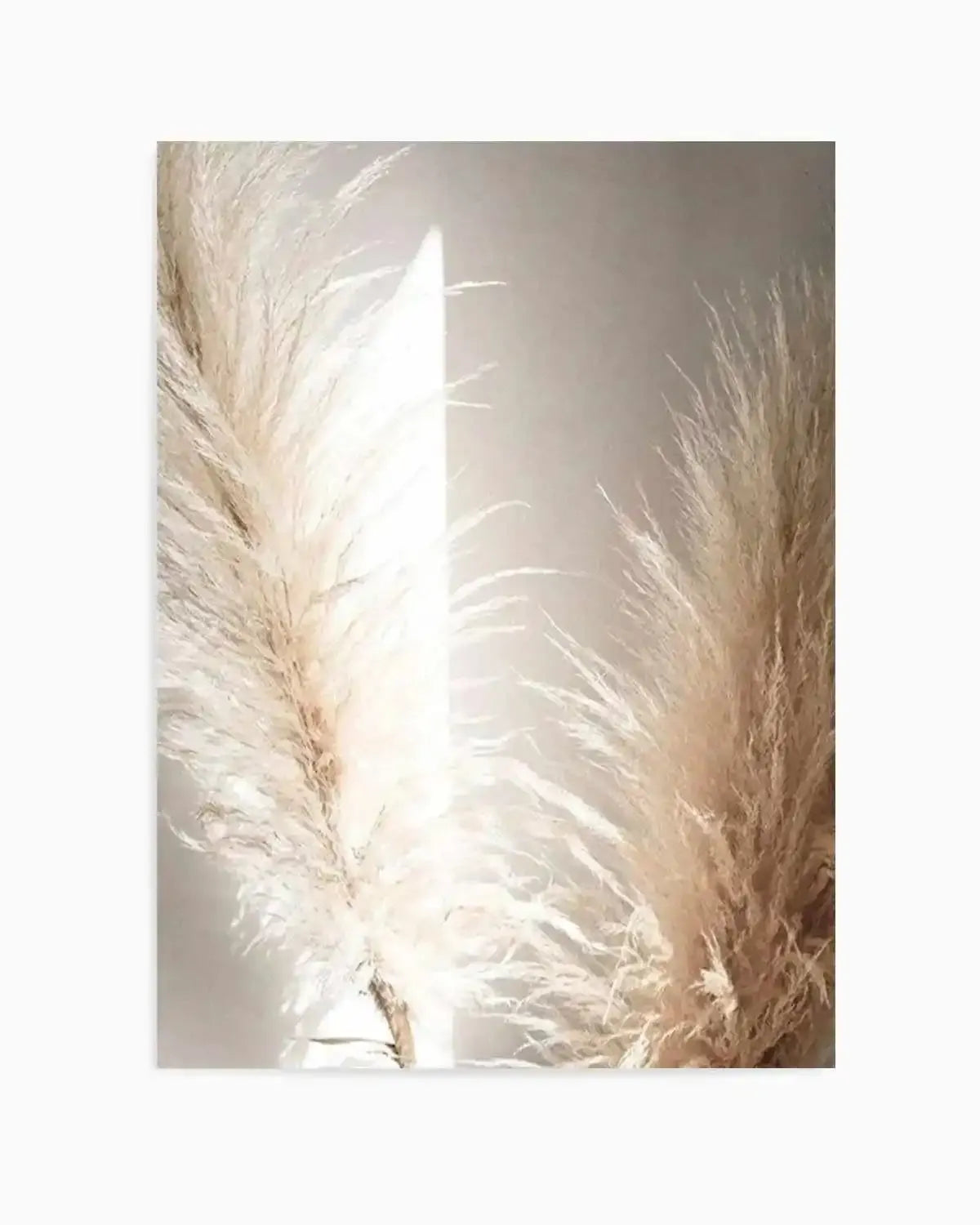 Pampas Ombres II Art Print from Olive et Oriel where you can shop wallpaper and artworks online