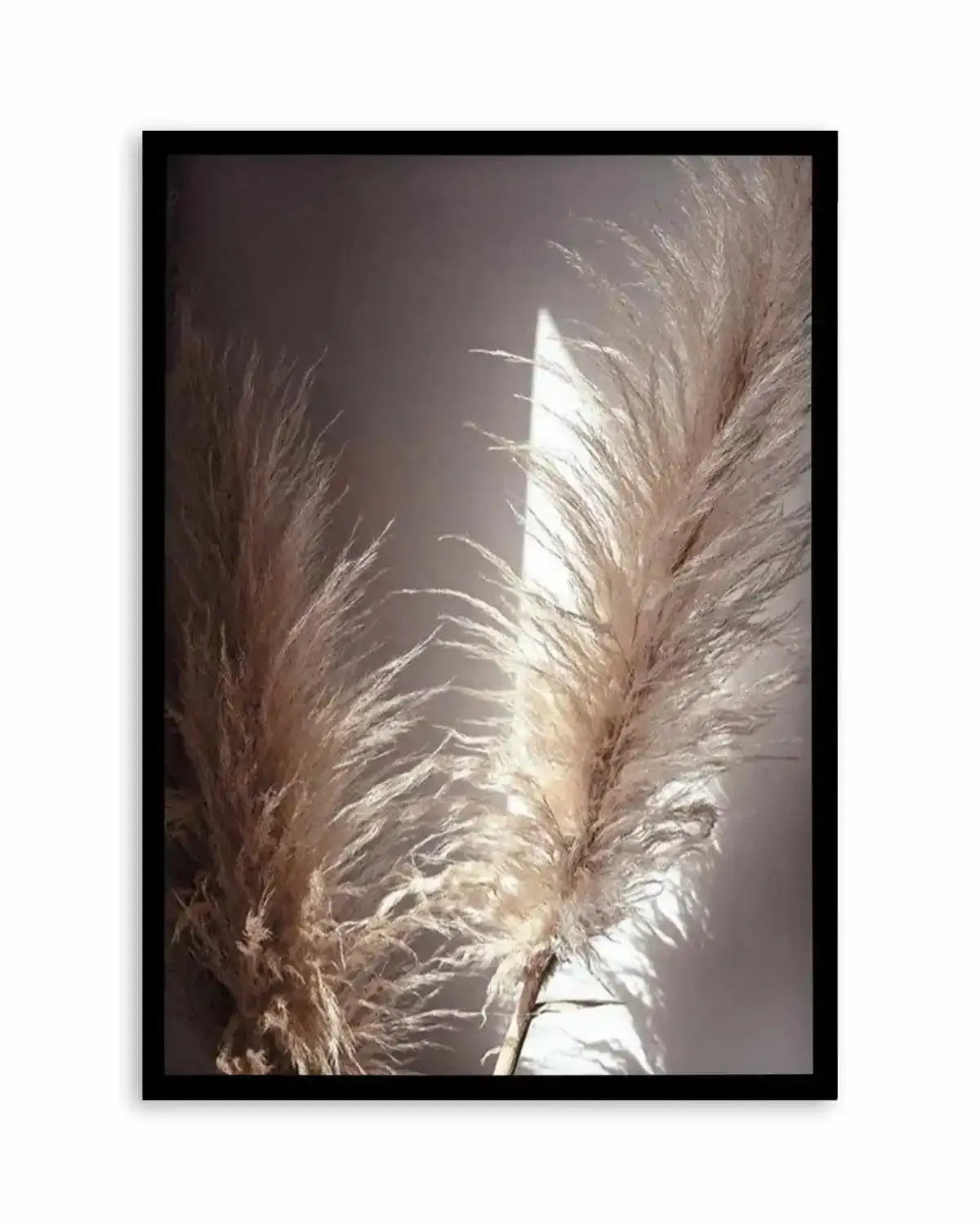 Pampas en Noir Art Print from Olive et Oriel where you can shop wallpaper and artworks online