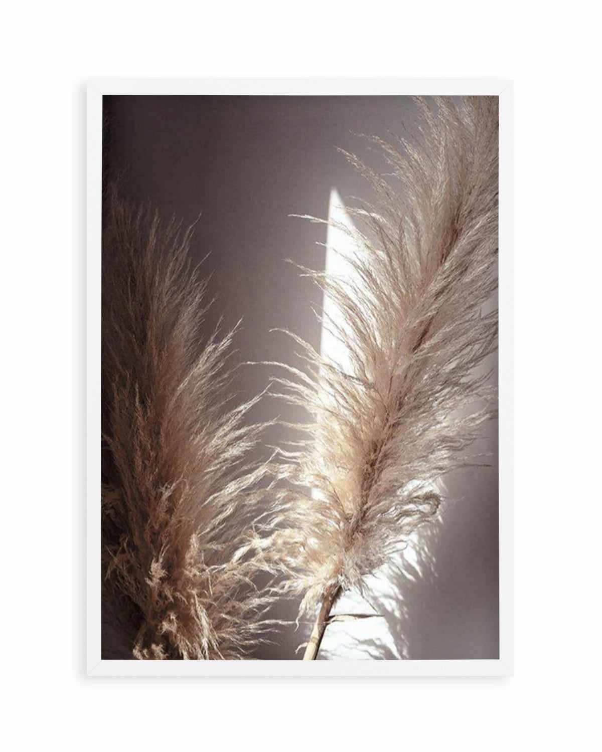 Pampas en Noir Art Print