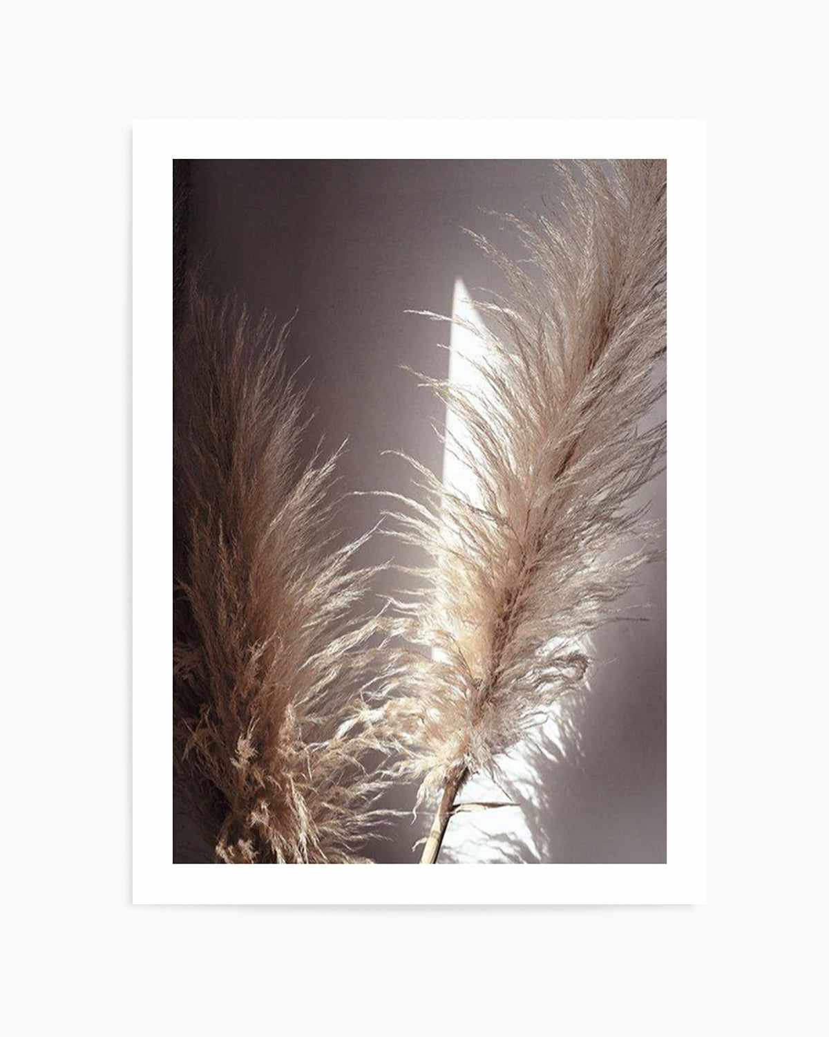 Pampas en Noir Art Print