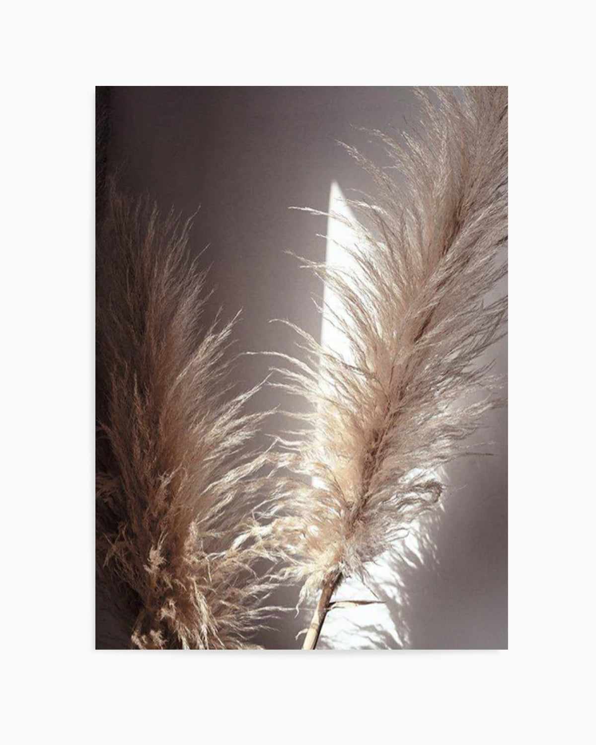 Pampas en Noir Art Print