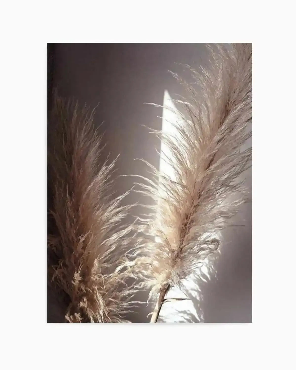Pampas en Noir Art Print from Olive et Oriel where you can shop wallpaper and artworks online