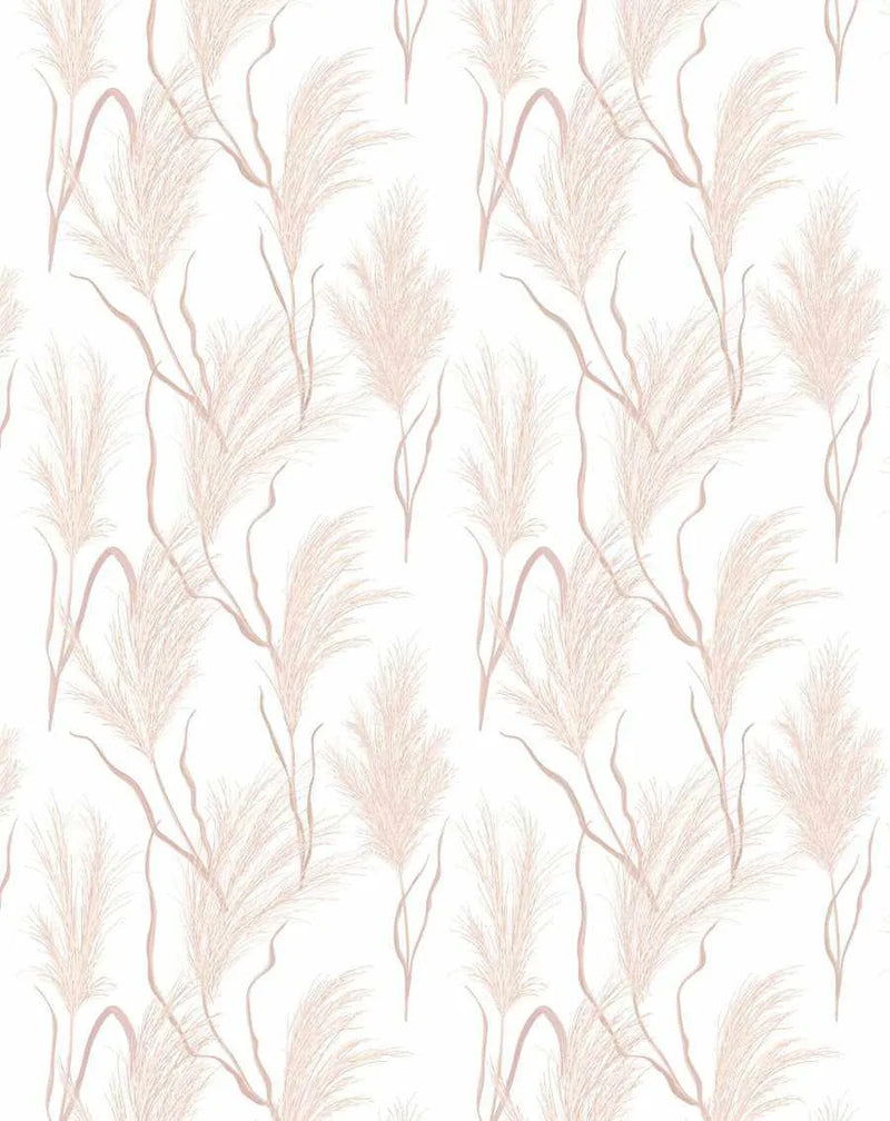 Peel and stick wallpaper featuring a repeating pattern of hand-painted pampas grass in soft blush pink and cream against a clean white background. The botanical design has a loose, organic watercolour quality with visible brushstroke texture, depicting the feathery plumes and slender stems swaying gently.