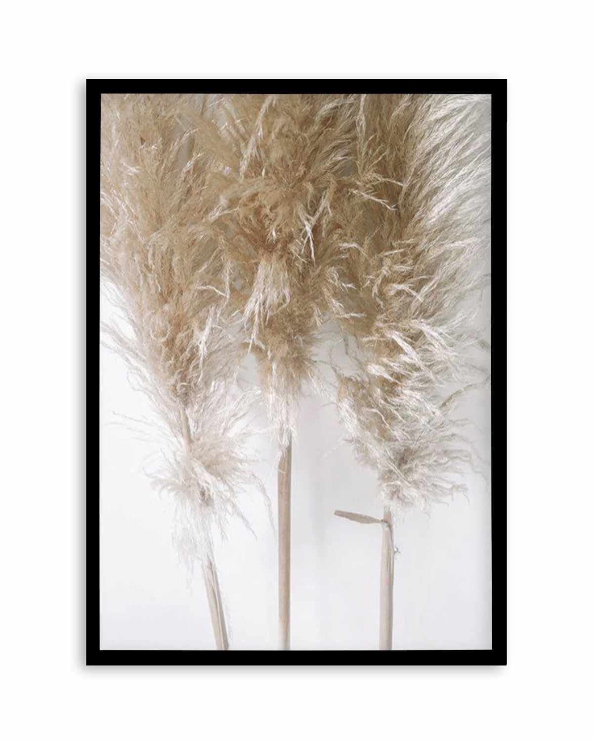 Pampas on Grey I Art Print