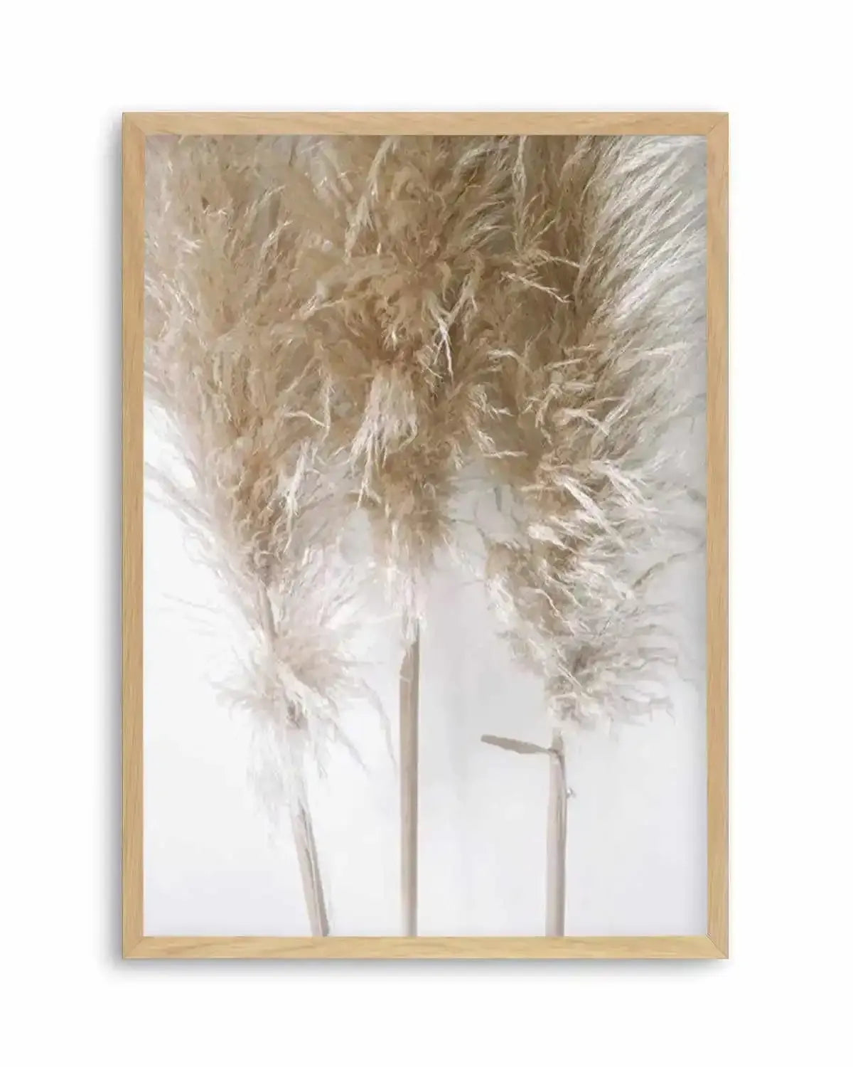 Pampas on Grey I Art Print from Olive et Oriel where you can shop wallpaper and artworks online