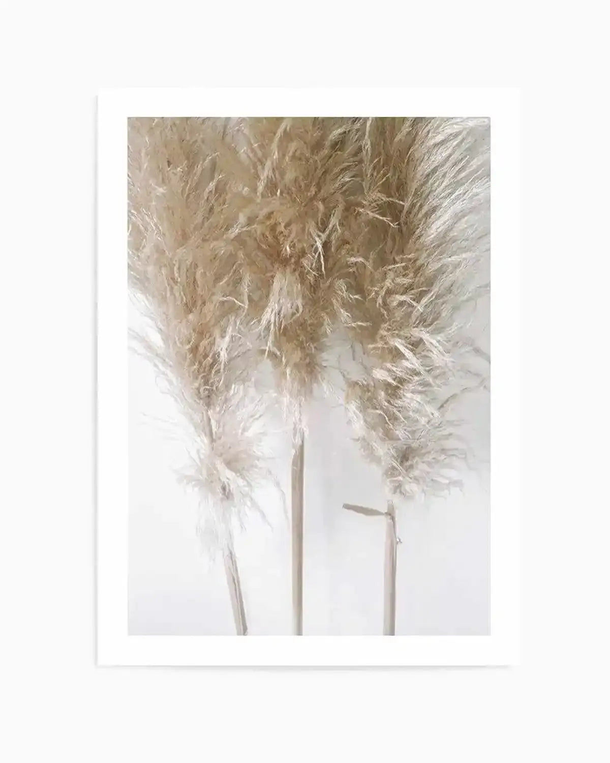 Pampas on Grey I Art Print from Olive et Oriel where you can shop wallpaper and artworks online
