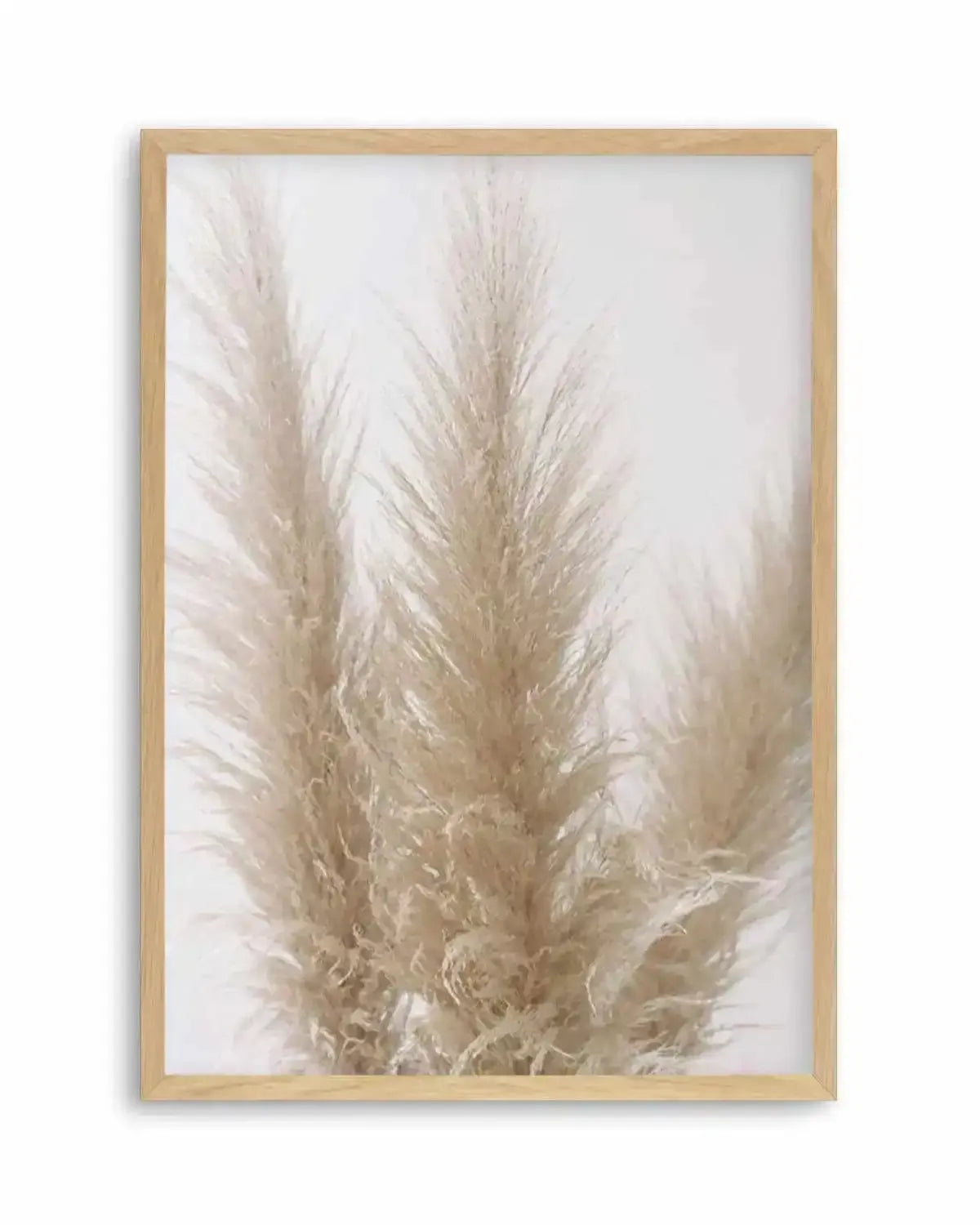 Pampas on Grey II Art Print from Olive et Oriel where you can shop wallpaper and artworks online