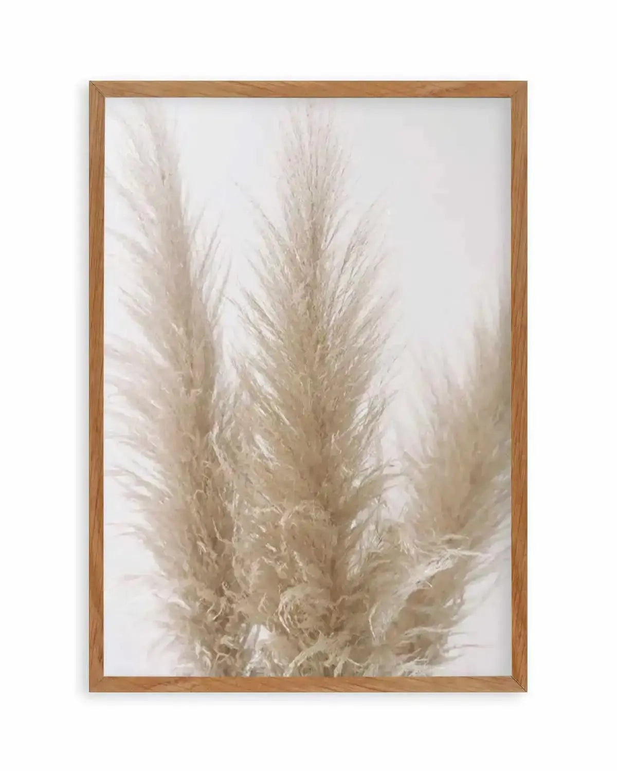 Pampas on Grey II Art Print from Olive et Oriel where you can shop wallpaper and artworks online