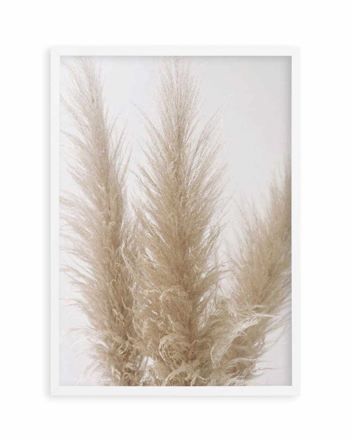 Pampas on Grey II Art Print