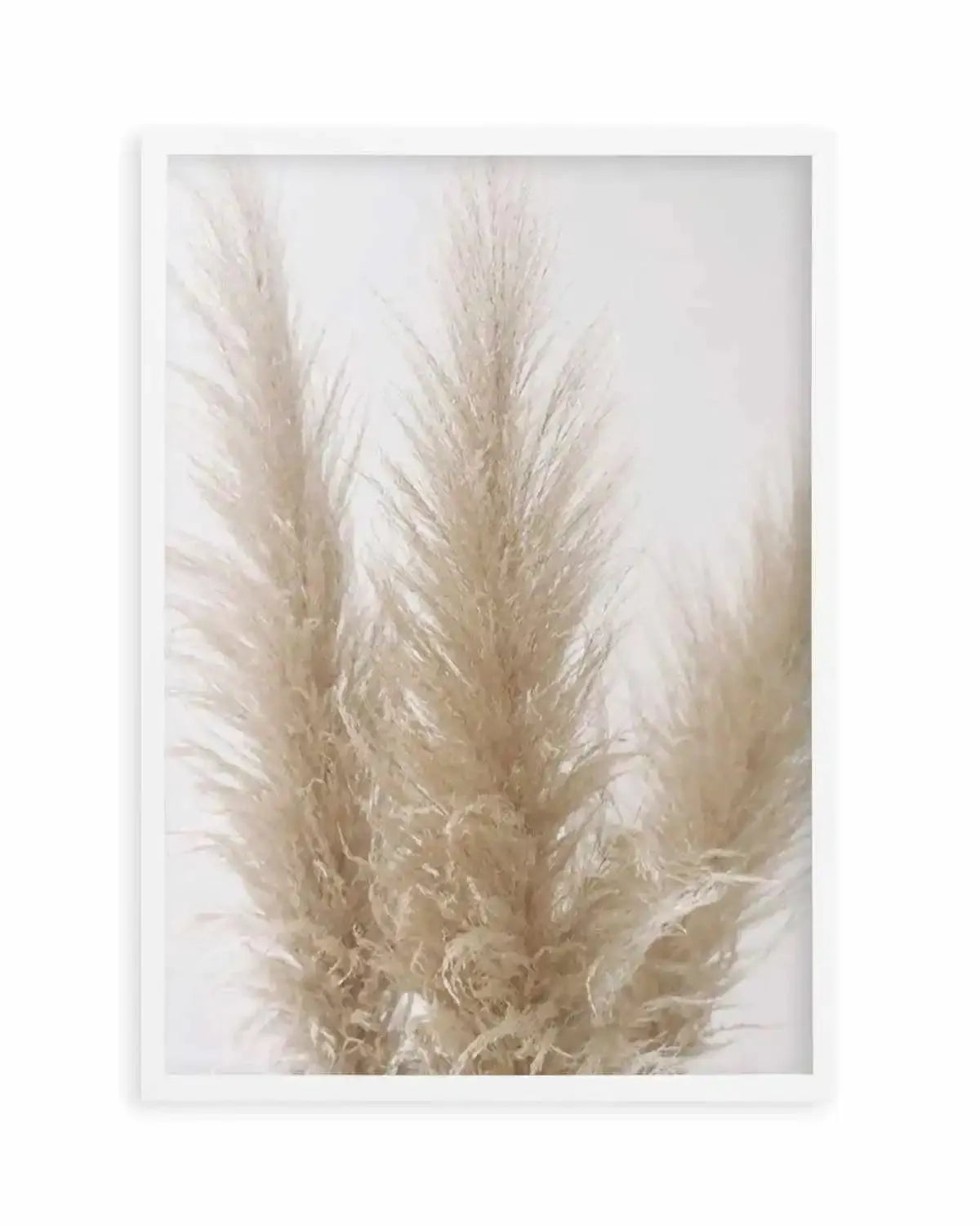 Pampas on Grey II Art Print from Olive et Oriel where you can shop wallpaper and artworks online