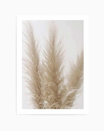 Pampas on Grey II Art Print from Olive et Oriel where you can shop wallpaper and artworks online