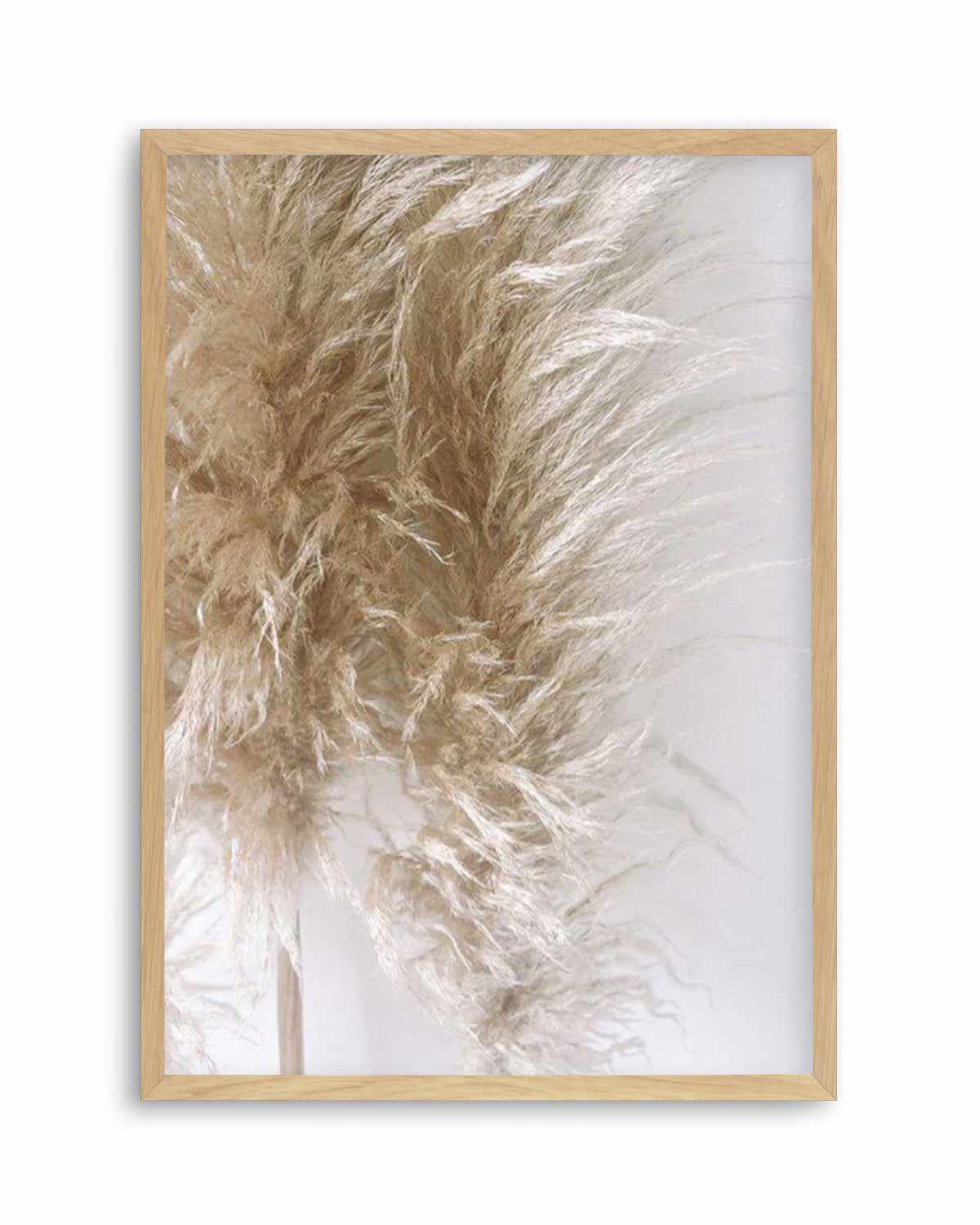 Pampas on Grey III Art Print