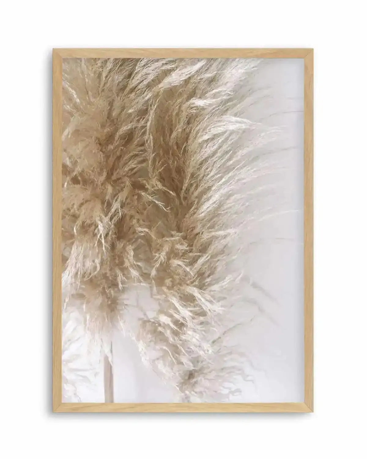 Pampas on Grey III Art Print from Olive et Oriel where you can shop wallpaper and artworks online