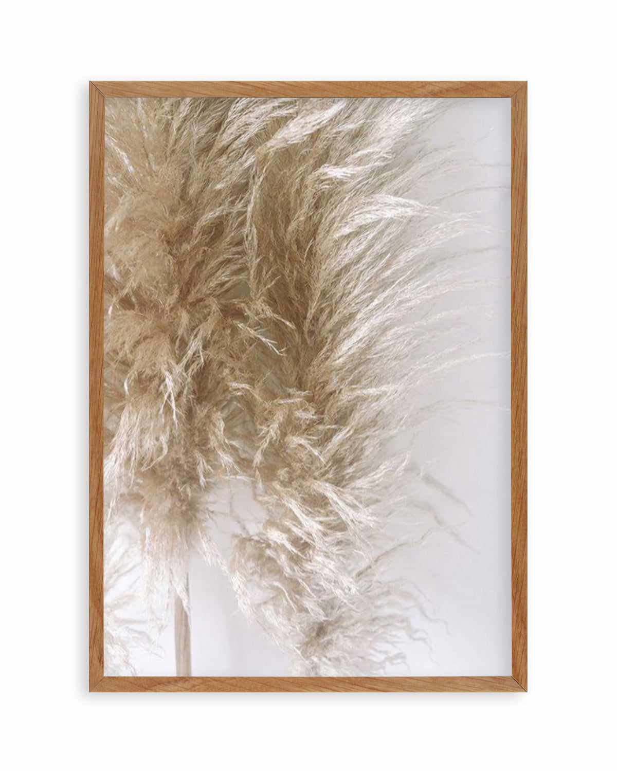 Pampas on Grey III Art Print