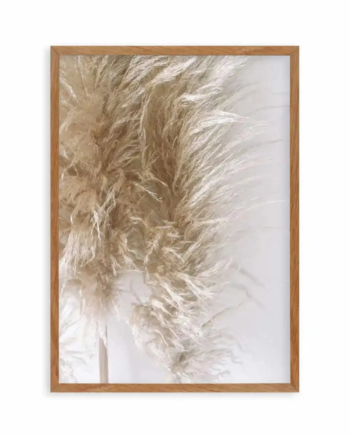 Pampas on Grey III Art Print from Olive et Oriel where you can shop wallpaper and artworks online
