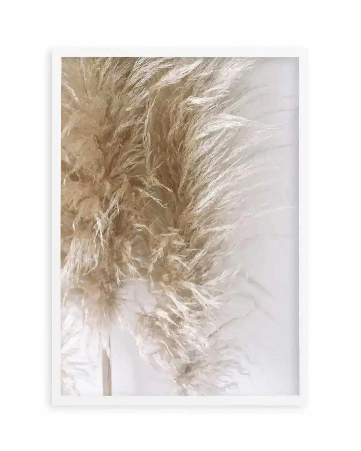 Pampas on Grey III Art Print from Olive et Oriel where you can shop wallpaper and artworks online