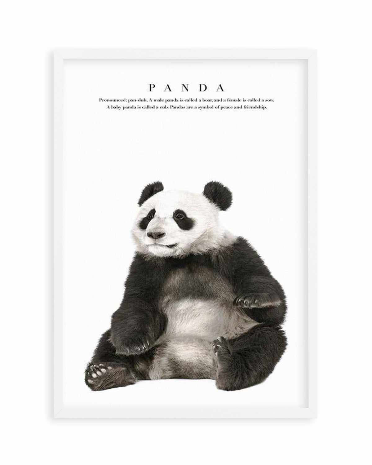 Panda Art Print