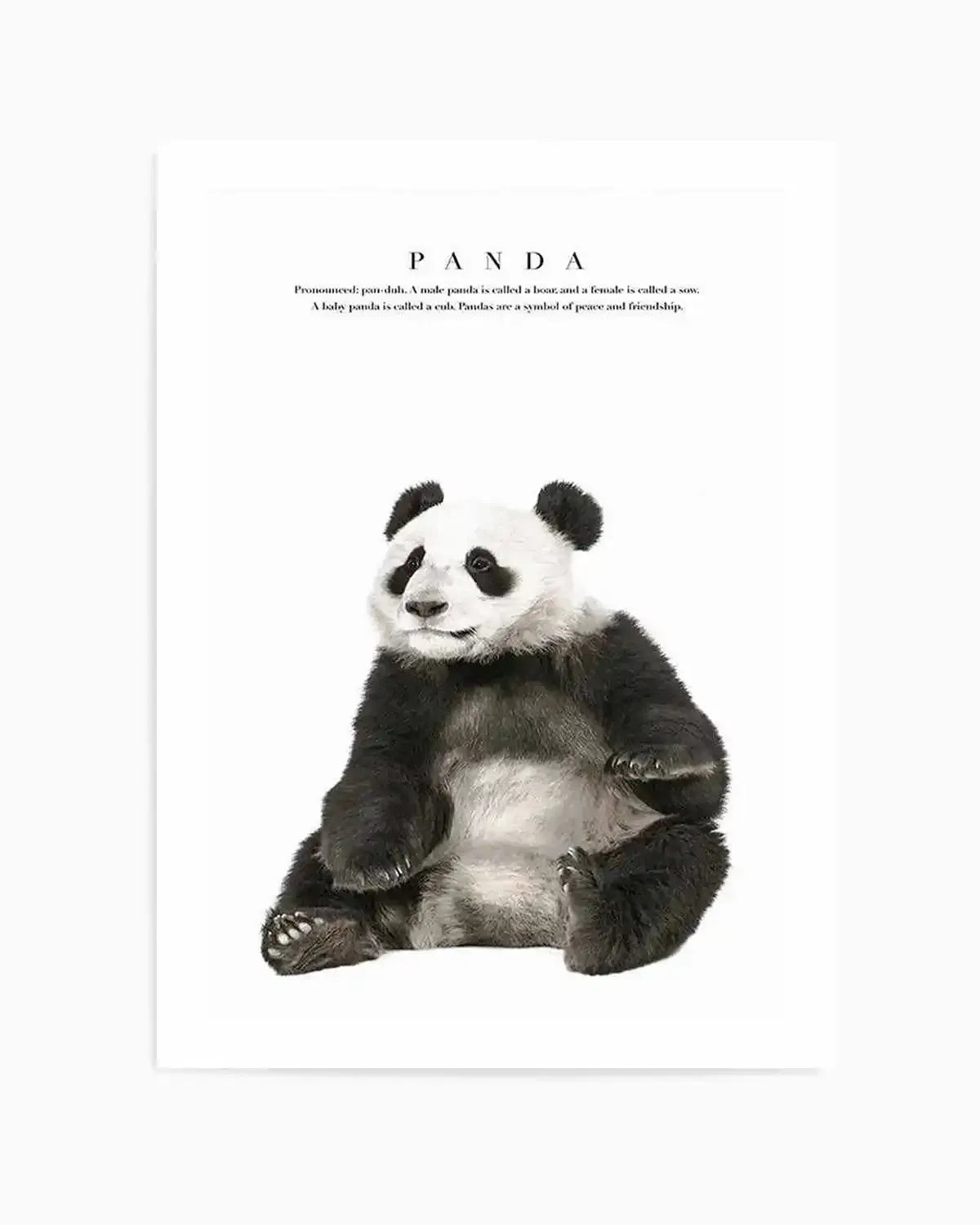 Panda Art Print from Olive et Oriel where you can shop wallpaper and artworks online