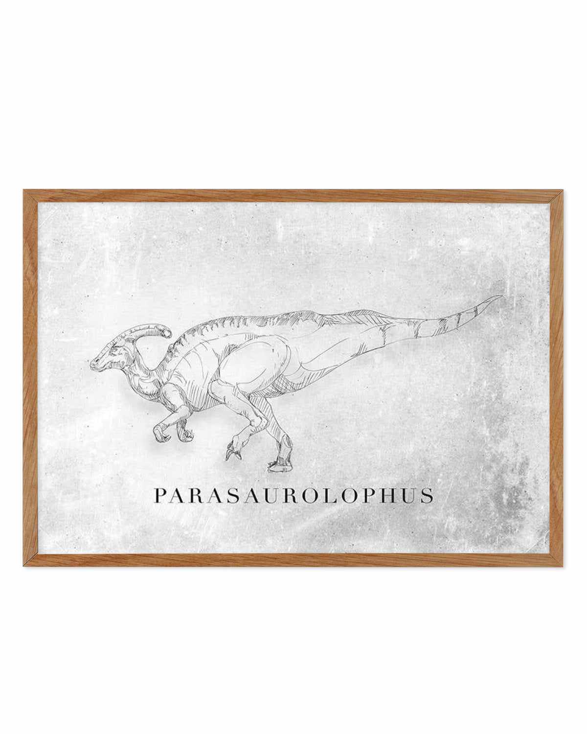 Parasaurolophus LS | Dinosaur Collection Art Print