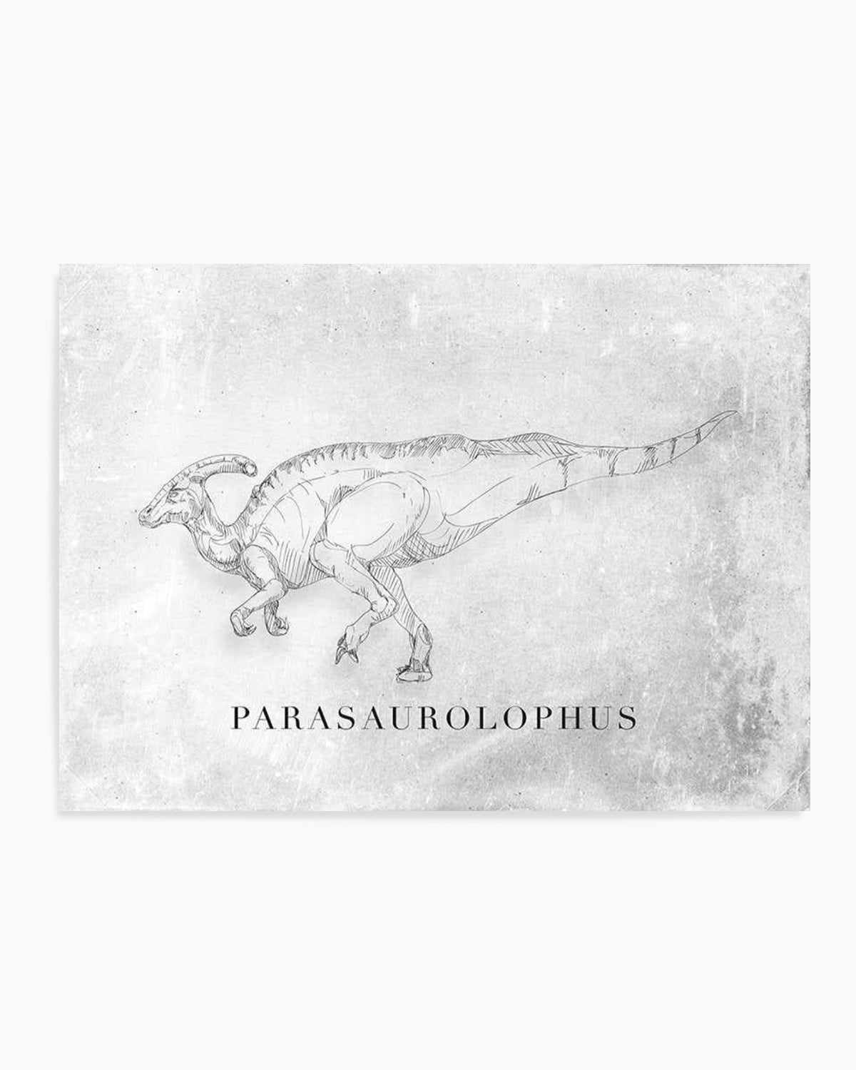 Parasaurolophus LS | Dinosaur Collection Art Print