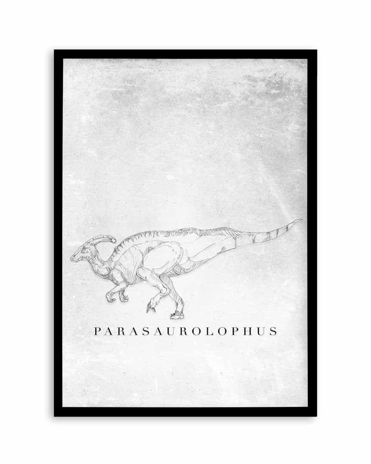 Parasaurolophus PT | Dinosaur Collection Art Print