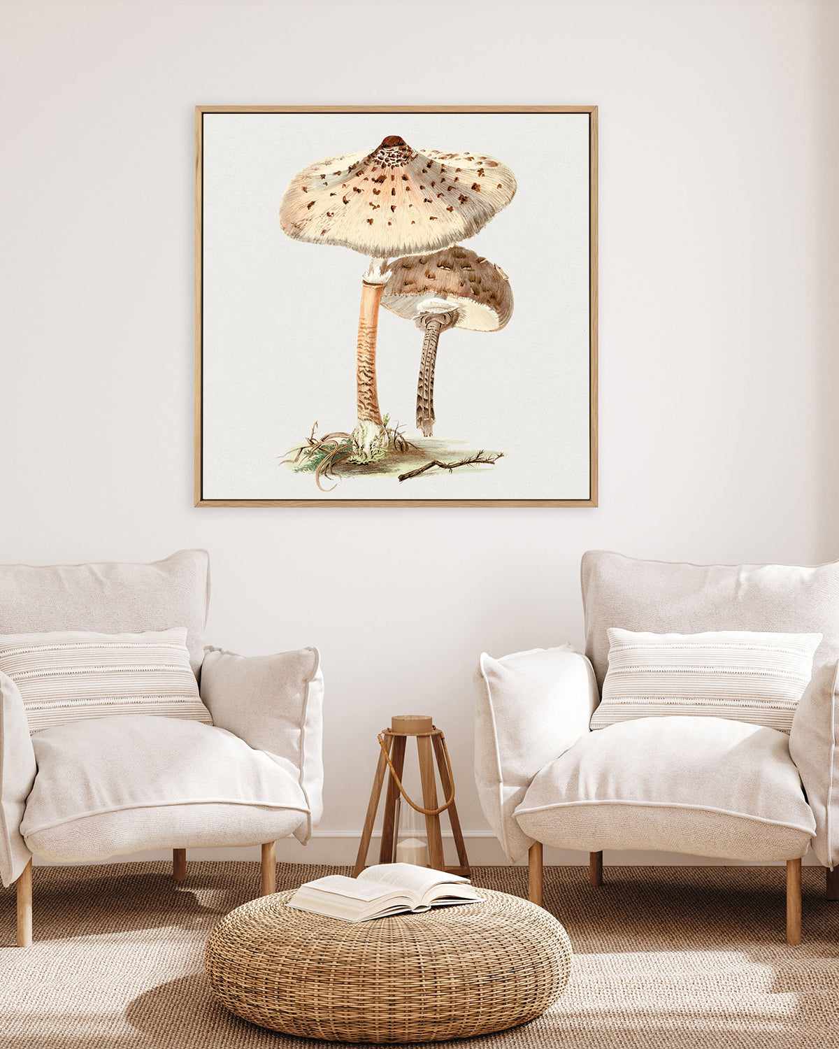 Parasol Mushroom Vintage Illustration | Framed Canvas Art Print