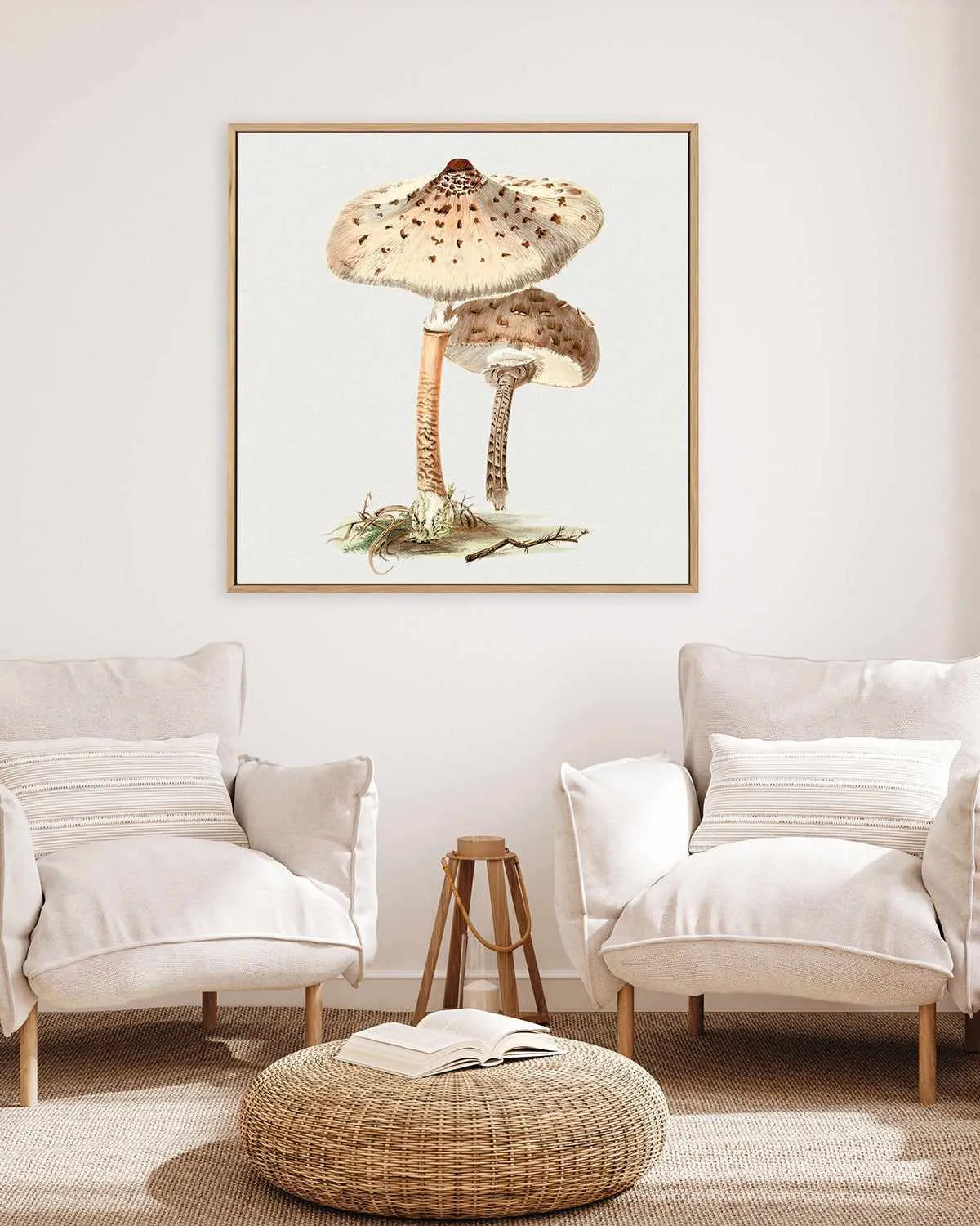 Parasol Mushroom Vintage Illustration | Framed Canvas Art Print from Olive et Oriel where you can shop wallpaper and artworks online