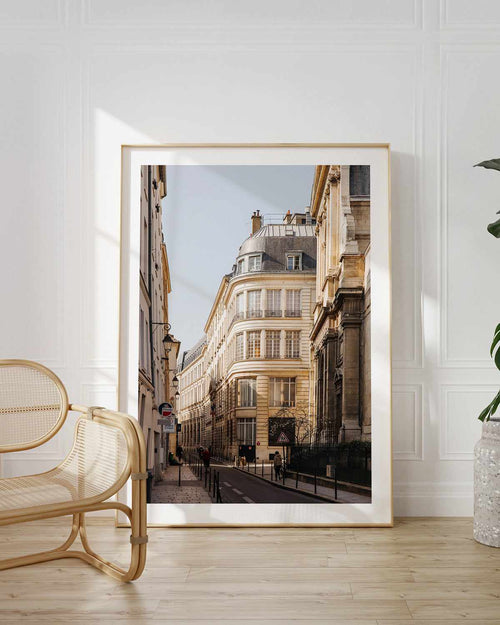 Paris Streets by Jovani Demetrie Art Print