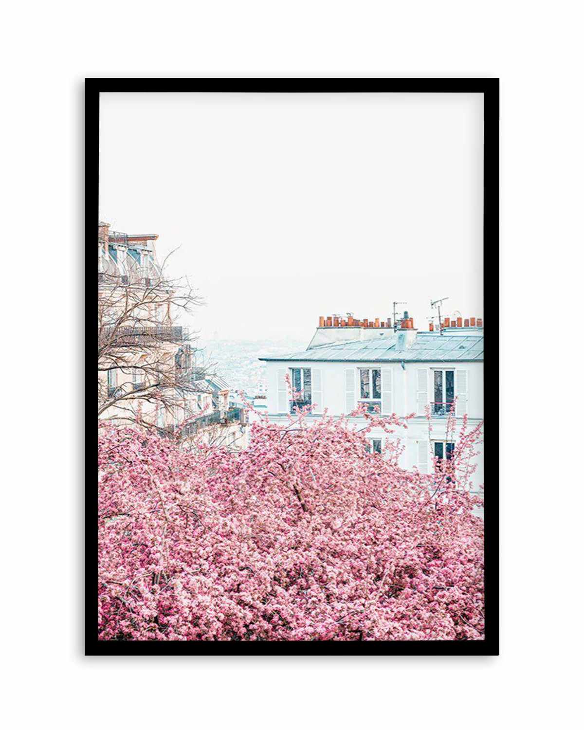 Parisian Blooms I Art Print