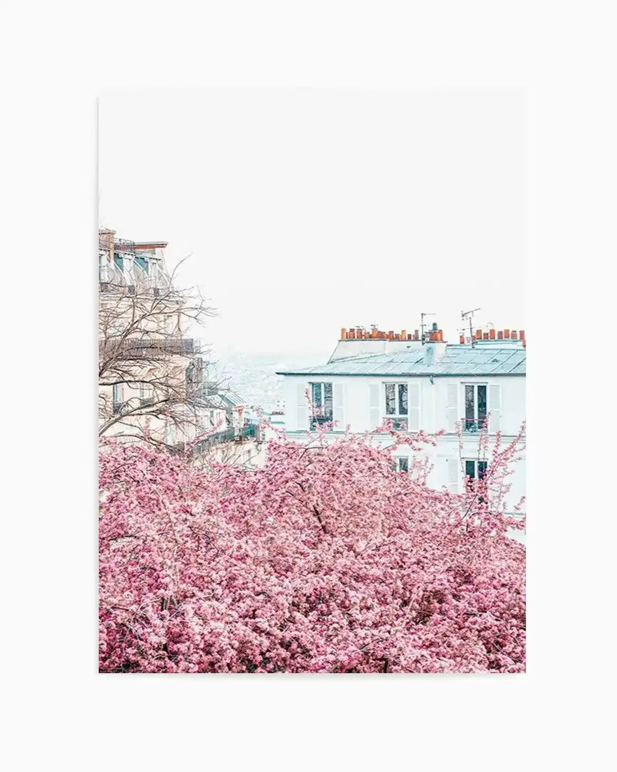 Parisian Blooms I | Square Art Print from Olive et Oriel where you can shop wallpaper and artworks online