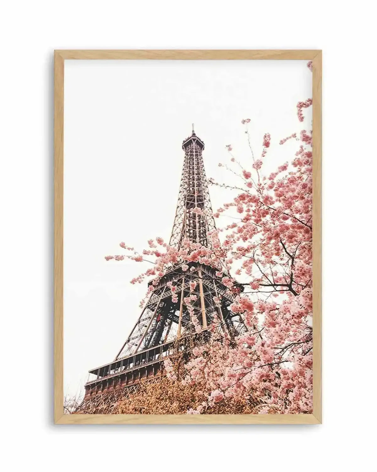 Parisian Blooms II Art Print from Olive et Oriel where you can shop wallpaper and artworks online