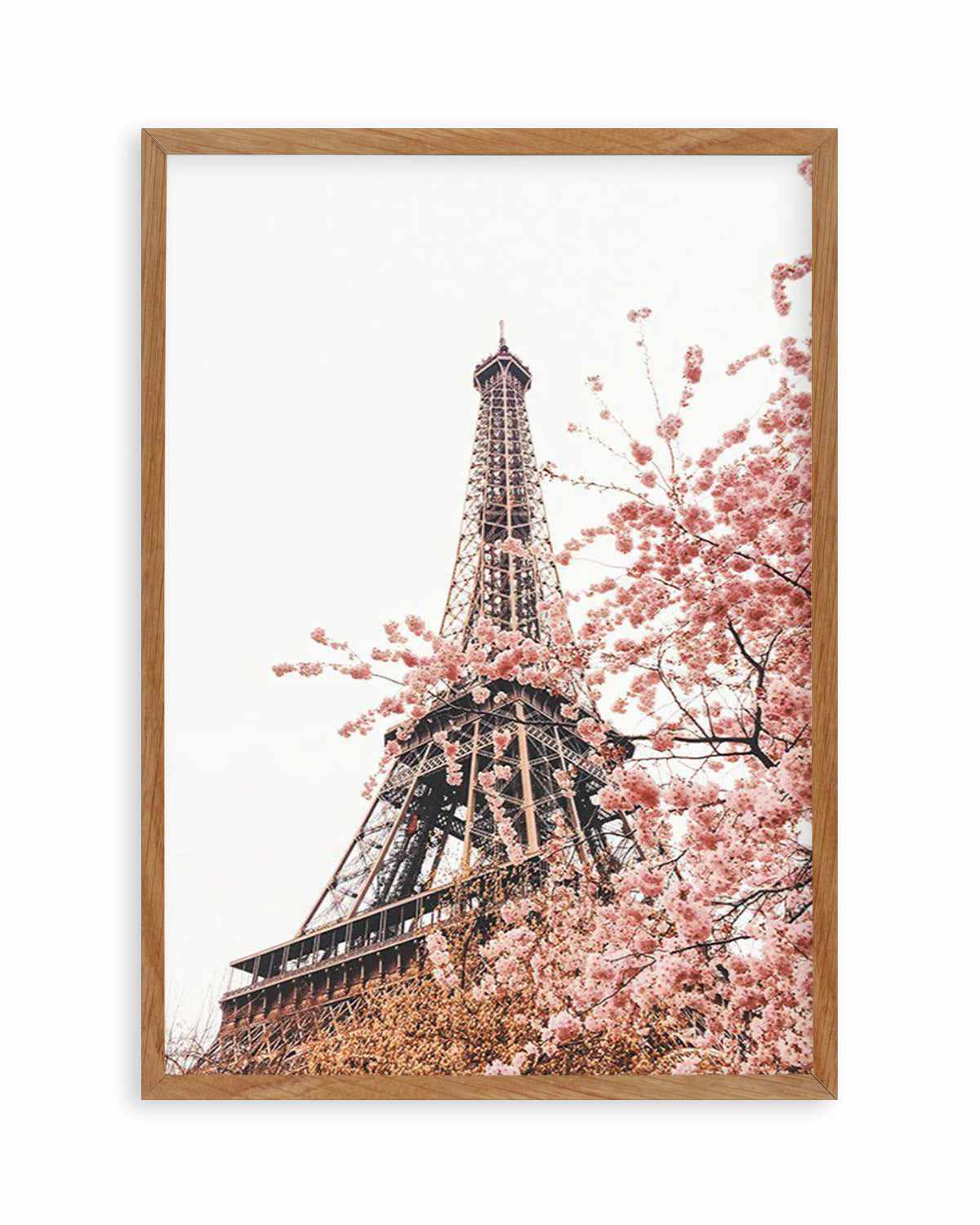 Parisian Blooms II Art Print