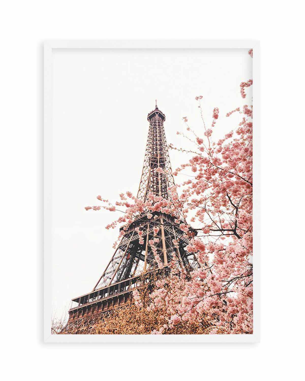 Parisian Blooms II Art Print