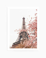 Parisian Blooms II Art Print