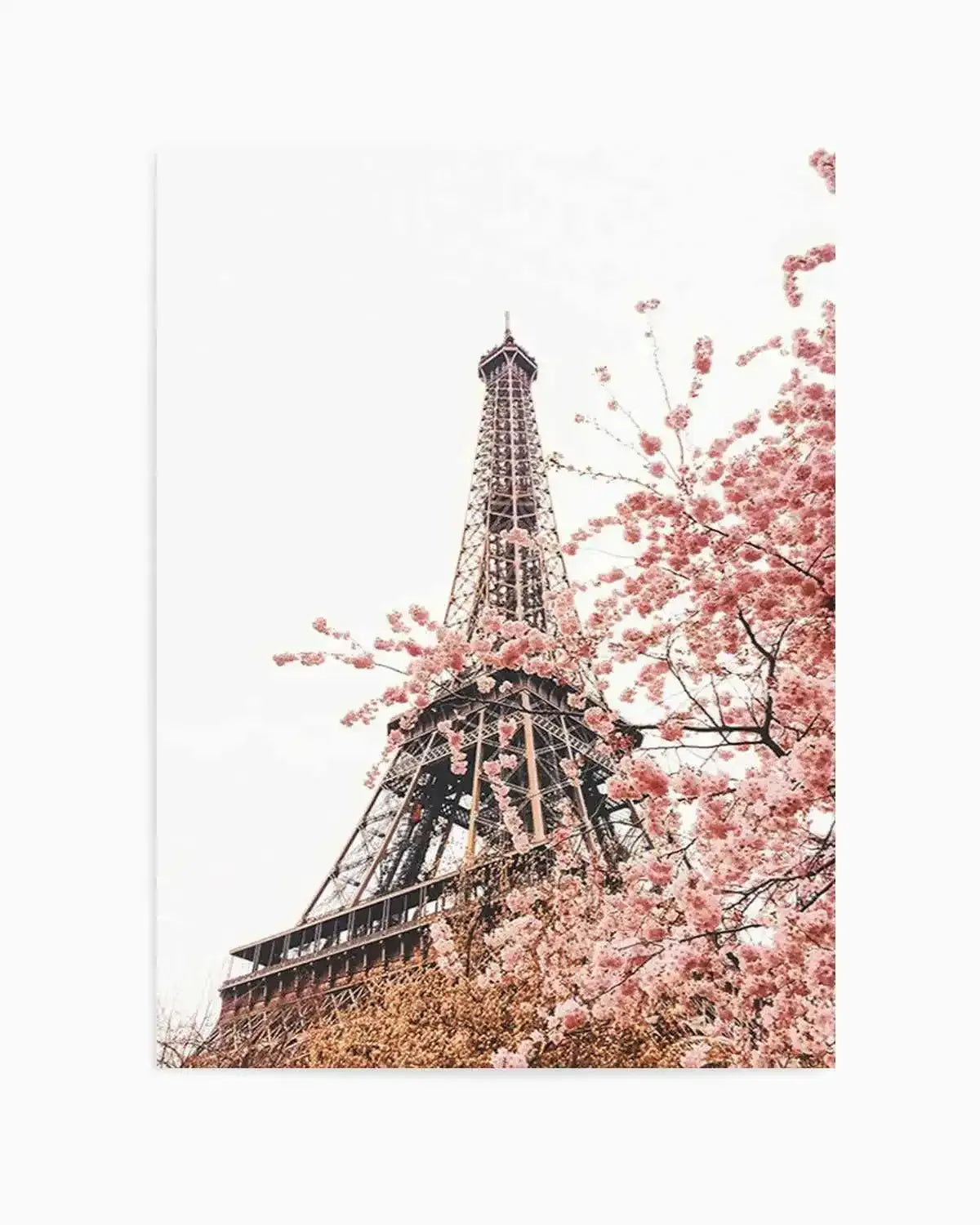 Parisian Blooms II Art Print from Olive et Oriel where you can shop wallpaper and artworks online