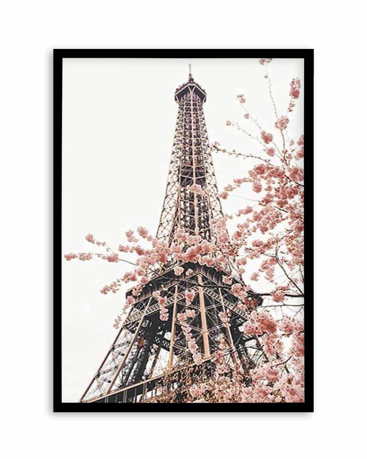 Parisian Blooms II | Square Art Print